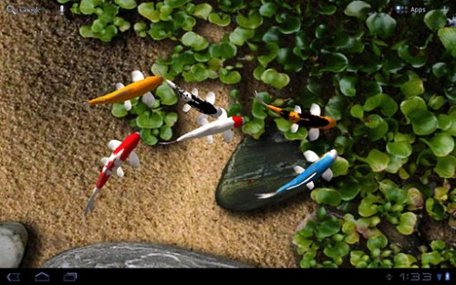 android live wallpaper koi
