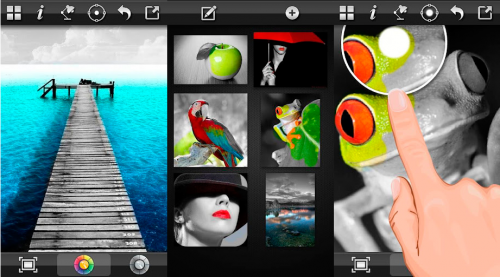 color-splash